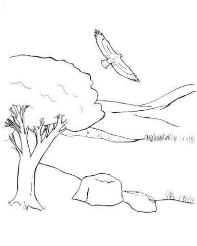 Eagle Soaring Over The Plaine Coloring Page